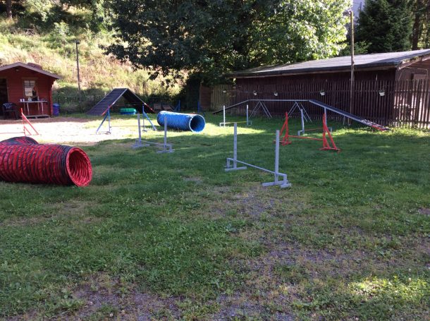 Unser Hundeplatz